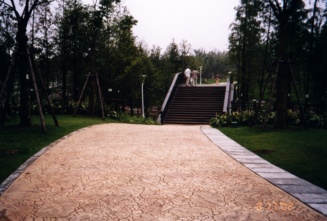 36040800.jpg