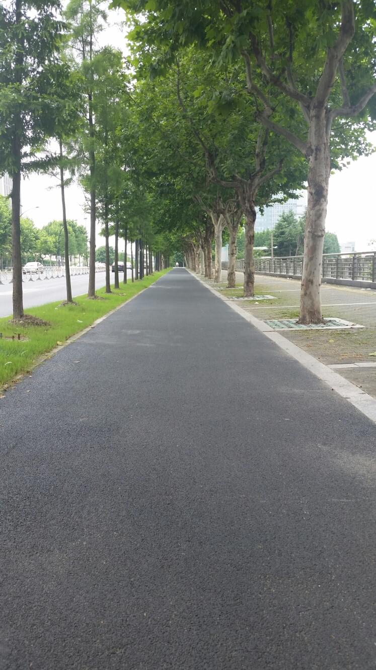 葉城路-2 .jpg