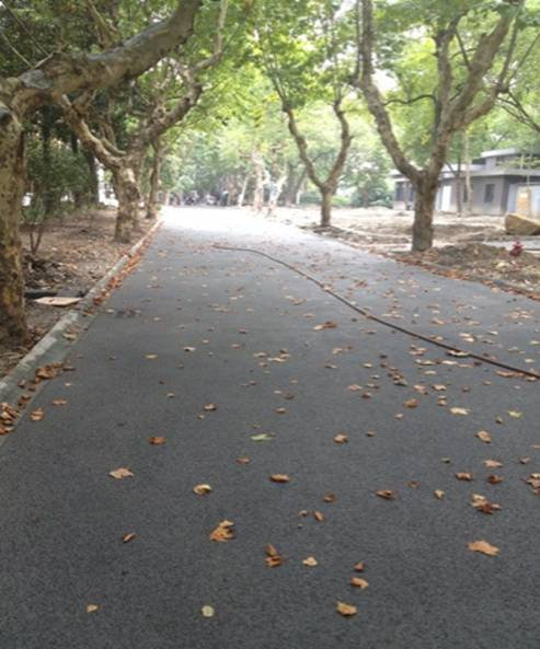 浙江大學(xué)西溪校區(qū).jpg