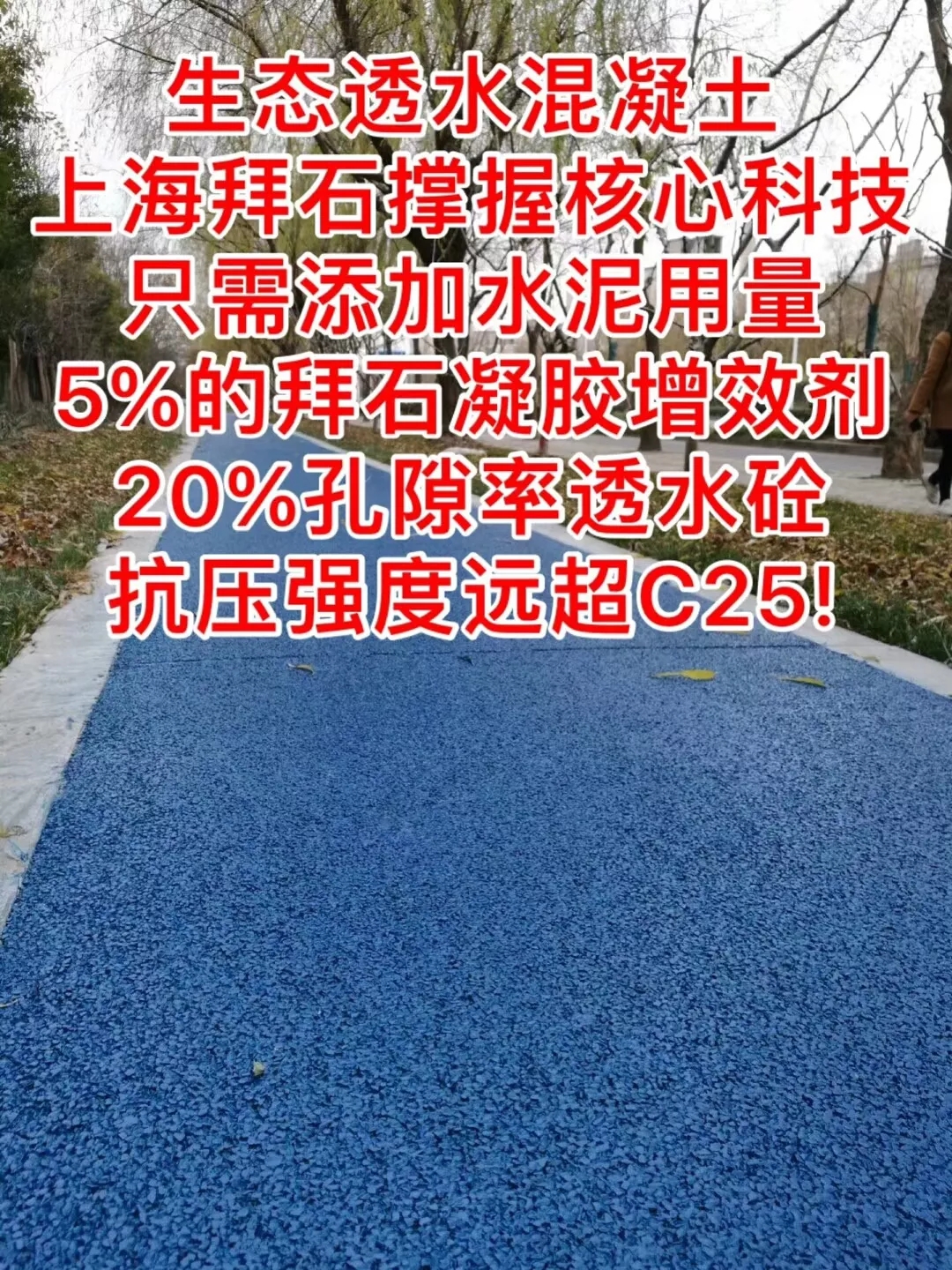 19.webp.jpg