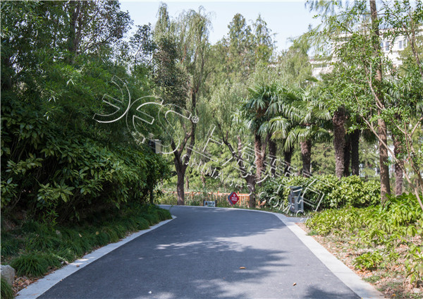 彩色防滑路面