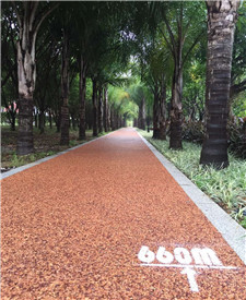 江蘇海鹽膠粘石透水混凝土！