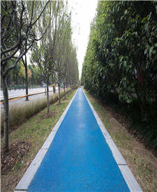 上海張衡路復(fù)旦大學(xué)透水地坪項目