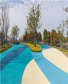 上海臨港航海博物館廣場(chǎng)透水路面項(xiàng)目