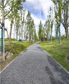 上海馬橋露骨料透水混凝土項目 上海馬橋露骨料透水混凝土項目